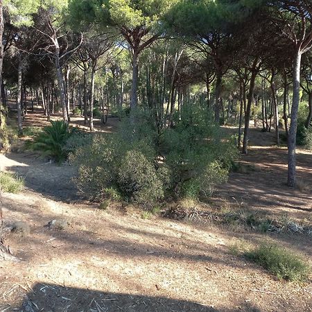 Casa Inocencio Ξενοδοχείο El Puerto de Santa María Εξωτερικό φωτογραφία