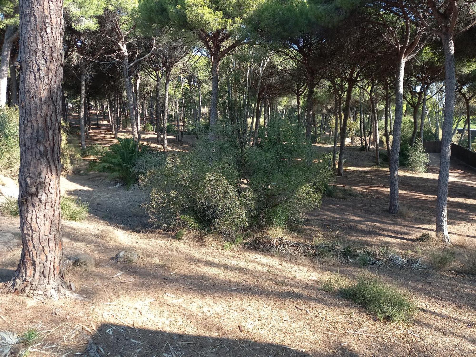 Casa Inocencio Ξενοδοχείο El Puerto de Santa María Εξωτερικό φωτογραφία